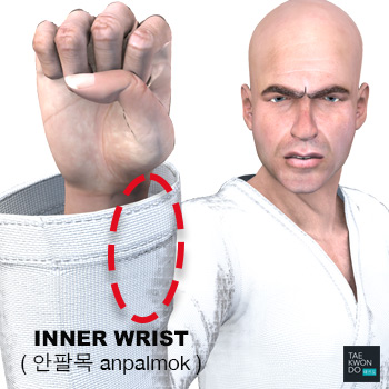 Inner Wrist ( 안팔목 anpalmok )