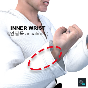 Inner Wrist ( 안팔목 anpalmok )