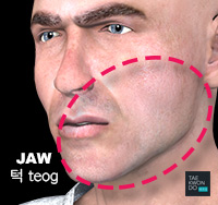 Jaw ( 턱 teog )