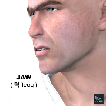 Jaw ( 턱 teog )