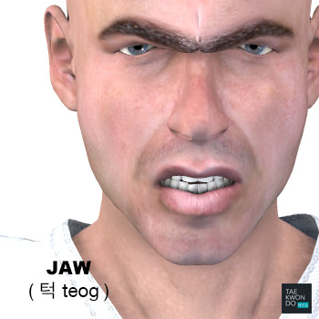 Jaw ( 턱 teog )