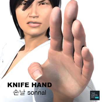 Knife Hand ( 손날 sonnal )