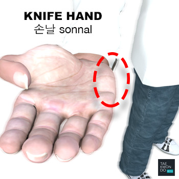 Knife Hand ( 손날 sonnal )