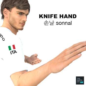 Knife Hand ( 손날 sonnal )