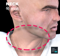 Neck ( 목 mok )