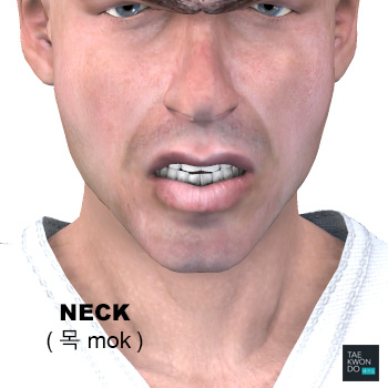 Neck ( 목 mok )