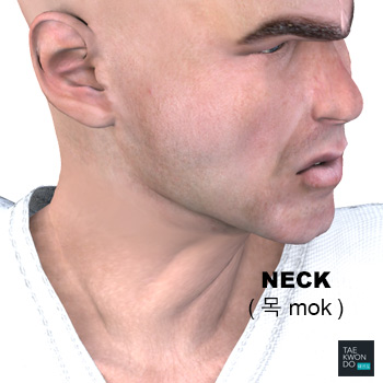 Neck ( 목 mok )