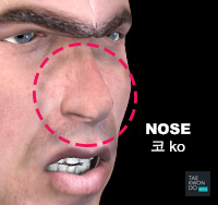 Nose ( 코 ko )