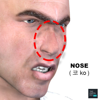 Nose ( 코 ko )