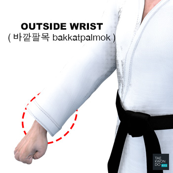 Outside Wrist ( 바깥팔목 bakkatpalmok )