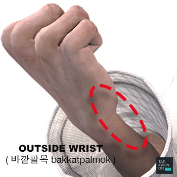 Outside Wrist ( 바깥팔목 bakkatpalmok )