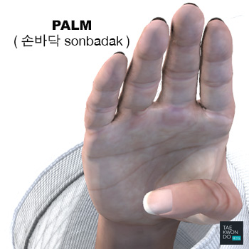 Palm ( 손바닥 sonbadak )