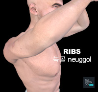 Ribs ( 늑골 neuggol )