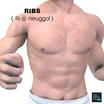 Ribs ( 늑골 neuggol )