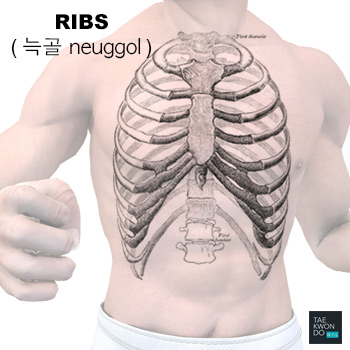 Ribs ( 늑골 neuggol )