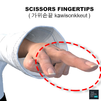 Scissors Fingertips ( 가위손끝 kawisonkkeut )