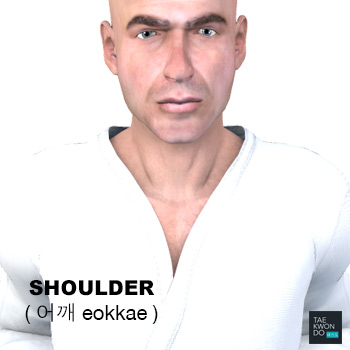 Shoulder ( 어깨 eokkae )