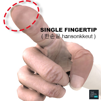 Single Fingertip ( 한손끝 hansonkkeut )