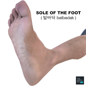 Sole of the Foot ( 발바닥 balbadak )