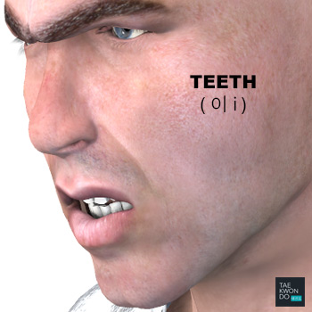 Teeth ( 이 i )