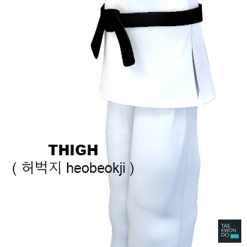 Thigh ( 허벅지 heobeokji )