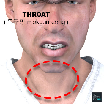 Throat ( 목구멍 mokgumeong )