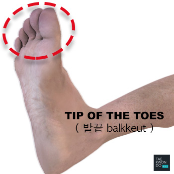 Tips of the Toes ( 발끝 balkkeut )