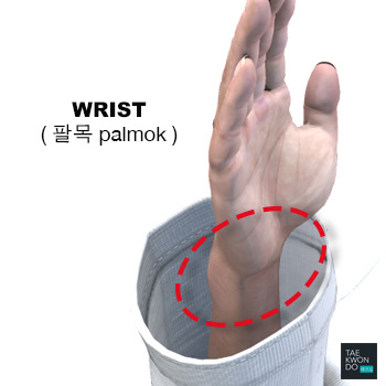 Wrist Area ( 팔목 palmok )