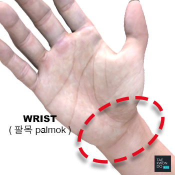 Wrist Area ( 팔목 palmok )