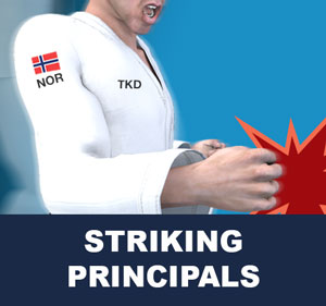 Taekwondo Striking Principals