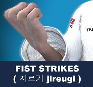 Fist Strikes ( 지르기 jireugi )