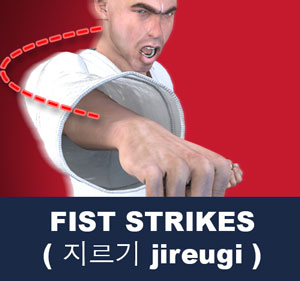 Fist Strikes ( 지르기 jireugi )