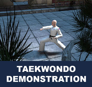 Taekwondo Demonstrations