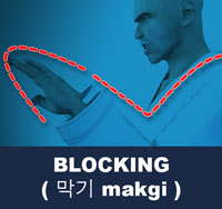 Taekwondo Blocks ( 막기 makgi )