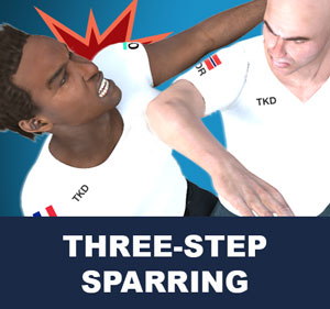 Taekwondo Three-Step Sparring