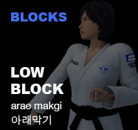 Taekwondo Low Block ( 아래막기 arae-makgi )