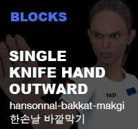 Taekwondo Single Knife Hand Outward Block