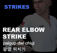 Rear Elbow Strike ( 팔굽 뒤치기 palgup-dwi-chigi )