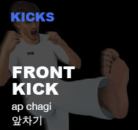 Taekwondo Front Kick ( 앞차기 ap-chagi )