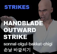 Hand Blade Outward Strike ( 손날 바깥치기 sonnal-olgul-bakkat-chigi )