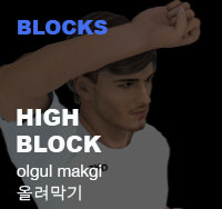 Taekwondo High Block ( 올려막기 olgul-makgi )