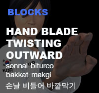 Taekwondo High Outer Forearm Block