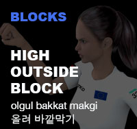 Taekwondo High Outside Block ( 올려 바깥막기 olgul bakkat makgi )