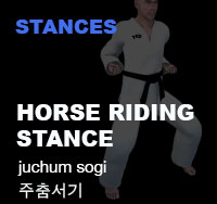 Taekwondo Horse Stance