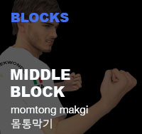 Taekwondo Middle Block ( 몸통막기 momtong-makgi )