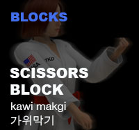 Taekwondo Scissor Block