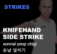 Hand Blade Side Strike ( 손날 옆치기 sonnal-yeop-chigi )