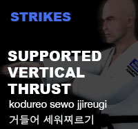 Supporting Vertical Thrust ( 거들어 세워찌르기 kodureo-sewo-jjireugi )