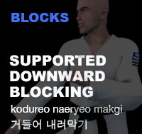 Taekwondo Supported Downward Block (kodureo naeryeo makgi)