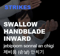 Taekwondo Swallow Handblade Inward Strike ( 제비품 손날 안치기 jebipoom-sonnal-an-chigi )